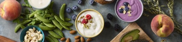 Guideline for production of dairy alternative products Vega Chr. Hansen